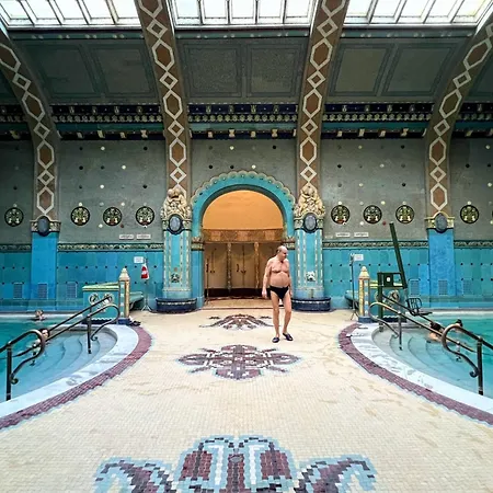 Art-filled 2br Near Synagogue Leafy Garden Views Budapest